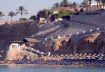 Jaz Fanara Resort Premium